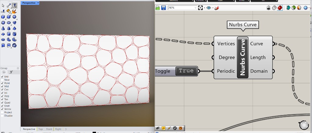 Nurbs Curve