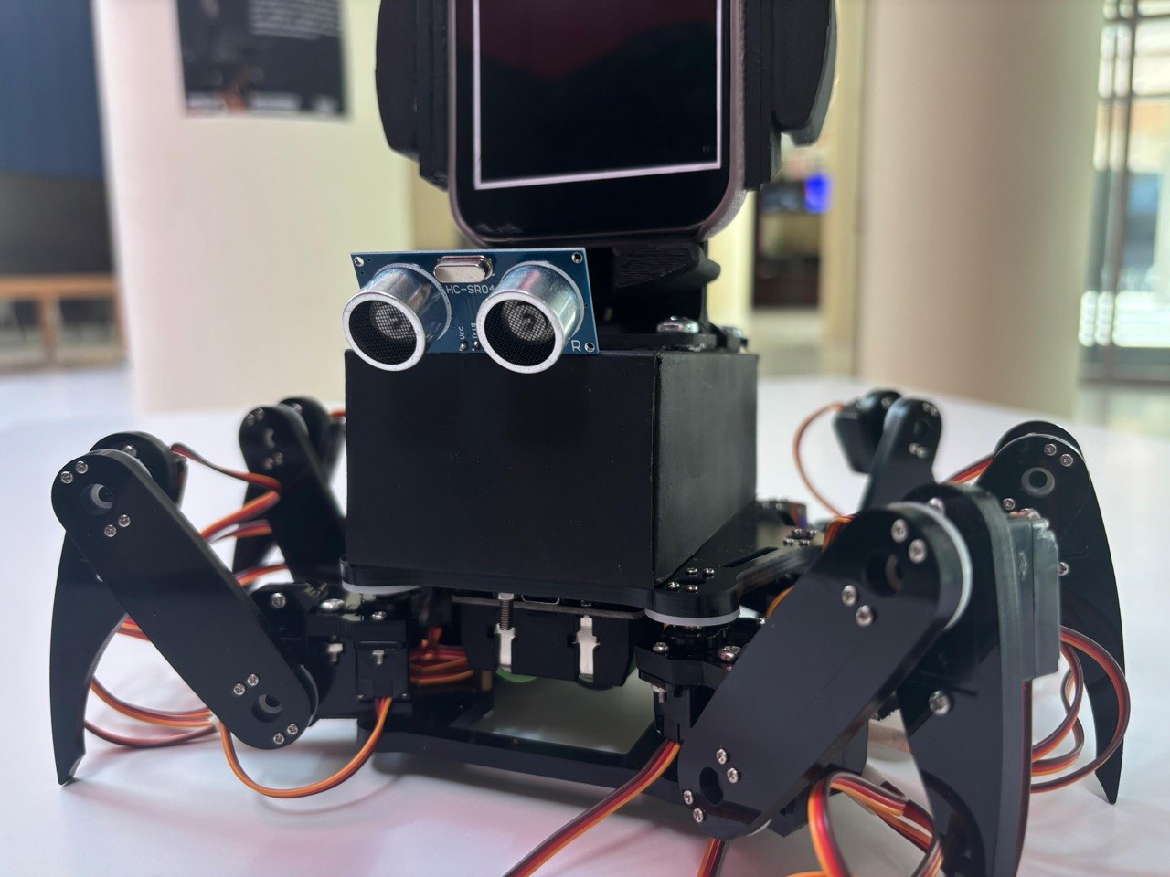 Low-angle view of The Crawler ultrasonic face